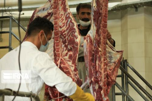 ثبات قیمت گوشت قرمز طی دو هفته اخیر در بازار