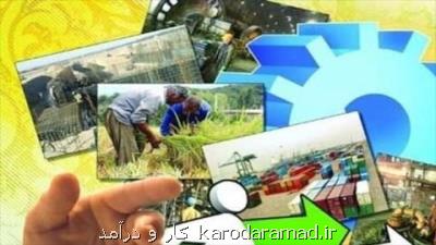 ایجاد ۵۰۰ هزار شغل در زمینه روستایی در سال ۱۴۰۱