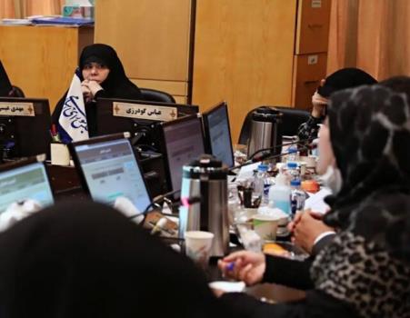 تاکید قاسم پور بر استفاده از ظرفیت زنان تحصیلکرده روستایی در برنامه هفتم توسعه