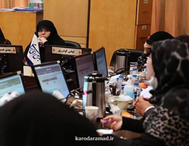 تاکید قاسم پور بر استفاده از ظرفیت زنان تحصیلکرده روستایی در برنامه هفتم توسعه