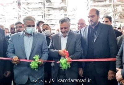 ایجاد بیشتر از ۱۴ هزار شغل جدید توسط صندوق کارآفرینی امید