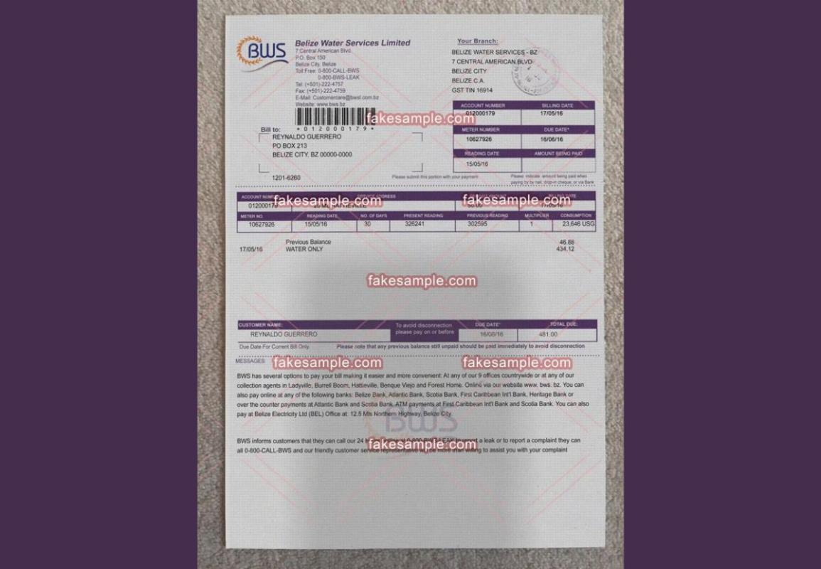 The Art of Documentation Reimagined by Fake-Sample