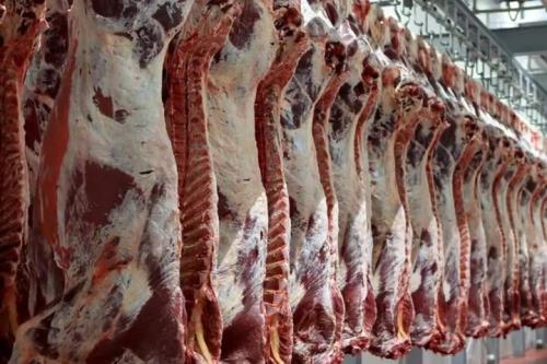 فردا ثبت سفارش جدید گوشت قرمز و چای شروع می شود
