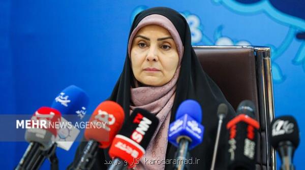 عملیات حج از اولویت های اصلی حمل و نقل کشور است