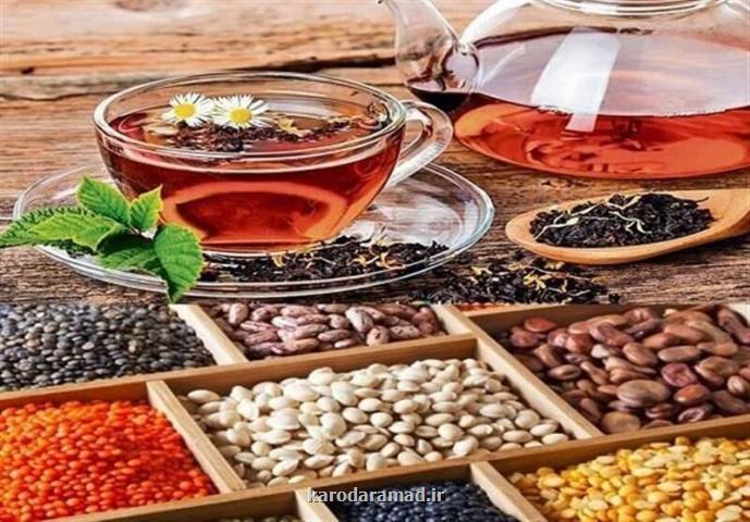 کاهش قیمت حبوبات از اواخر مرداد با شروع فصل برداشت