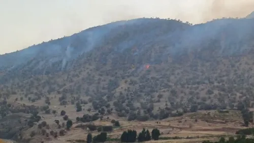 دستور ویژه برای اطفای آتش سوزی در چالوس