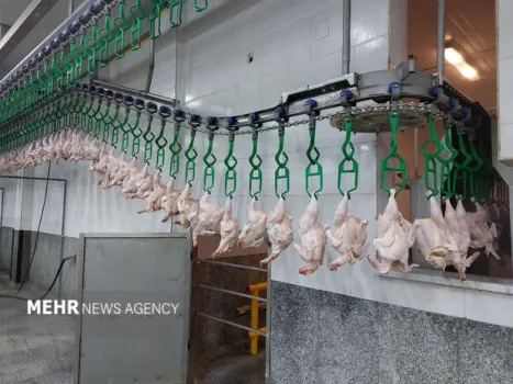 هر کیلو گرم گوشت مرغ 168 هزار تومان شد به همراه جدول قیمت کالاهای اساسی