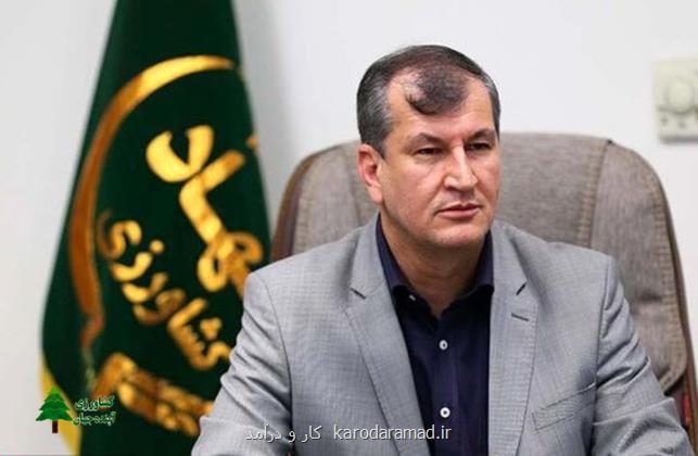 درآمد ارزی باغبانی به ۴ و سه دهم میلیون دلار رسید