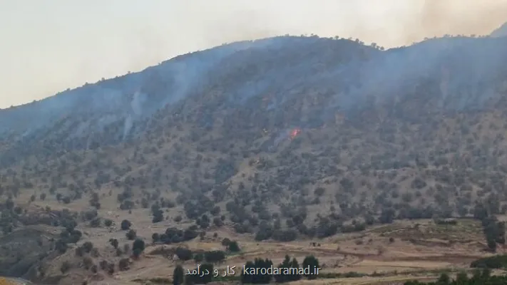 دستور ویژه برای اطفای آتش سوزی در چالوس