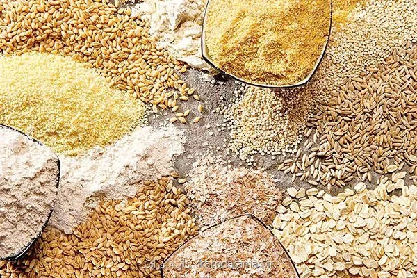 معطلی ترخیص نهاده های دامی در بنادر کشور به دلیل نبود تخصیص ارز