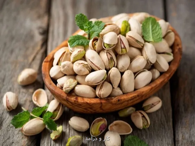 صادرات پسته به ۷ کشور برتر دنیا محصولی باکیفیت و ارزآور