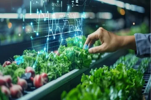 امسال 40 بذر هیبرید معرفی می شود