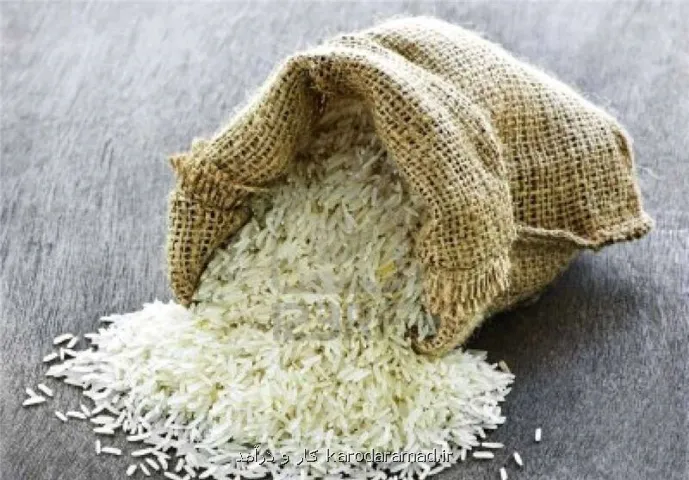واردات برنج از امروز تا به مدت ۶ ماه آزاد شد