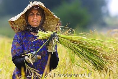 اشتغالزایی بومی ۱۱۴روستای كشور را بدون بیكار كرد