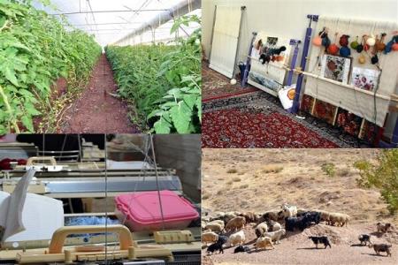 كارنامه 30 ماهه وام اشتغال روستایی