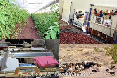 كارنامه 30 ماهه وام اشتغال روستایی