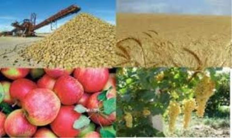 بیمه محصول 42 هزار بهره بردار بخش كشاورزی در لرستان