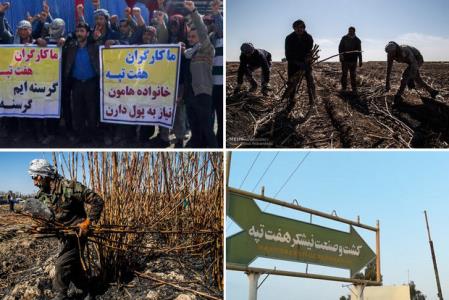 كلاف سردرگم نیشكر هفت تپه